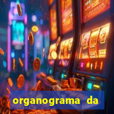 organograma da cacau show