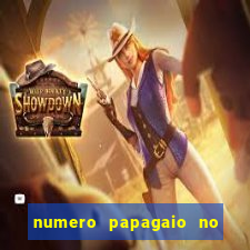 numero papagaio no jogo do bicho