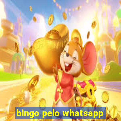 bingo pelo whatsapp