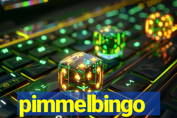 pimmelbingo