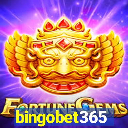 bingobet365