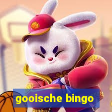 gooische bingo