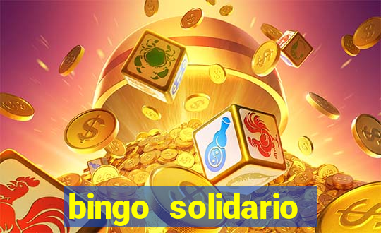 bingo solidario como organizar