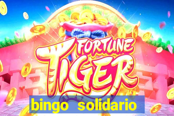 bingo solidario como organizar