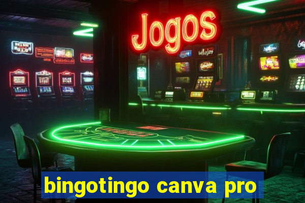 bingotingo canva pro