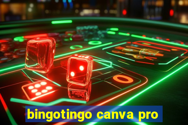 bingotingo canva pro