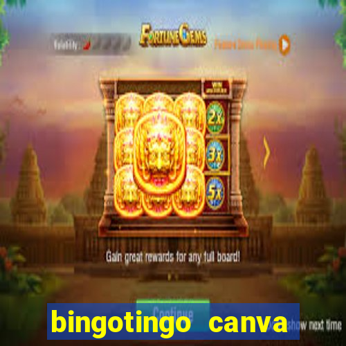 bingotingo canva pro gratis