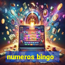 numeros bingo