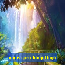 canva pro bingotingo