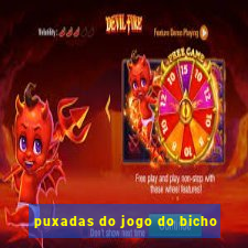 puxadas do jogo do bicho