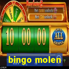 bingo molen